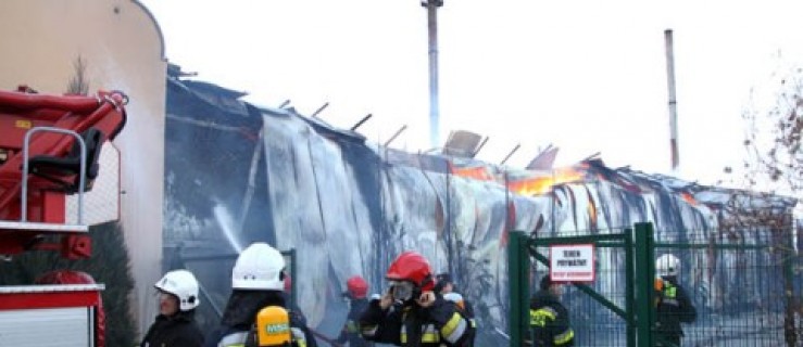 Wielki pożar w Dobrzycy [VIDEO, GALERIA] - Zdjęcie główne