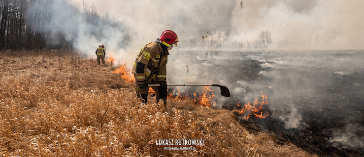 Płonie Biebrzański Park Narodowy. Giną na ich oczach  - Zdjęcie główne