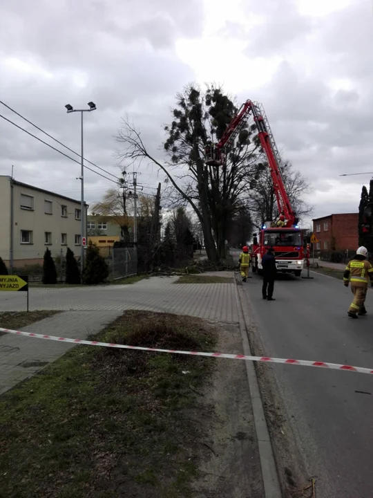 Na ul. Czartoryskich w Gołuchowie konieczna była interwencja strażaków