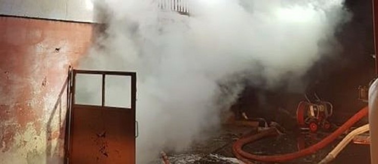 Pożar w gminie Dobrzyca. Trzy osoby potrzebowały pomocy - Zdjęcie główne