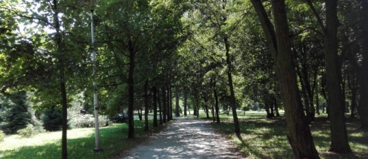 Pleszew. Odnowili miejski park. Teraz stanie tam toaleta  - Zdjęcie główne