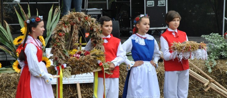 Dobrzyckie święto plonów [ZDJĘCIA] - Zdjęcie główne