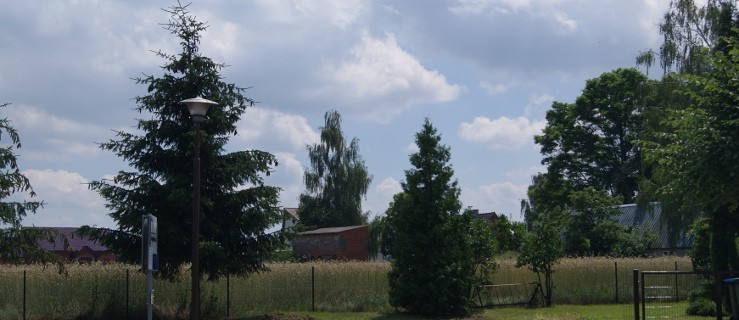 Gizałki. Wieś znowu pięknieje  - Zdjęcie główne