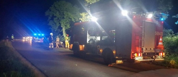 Dobrzyca. Mężczyzna, który wjechał do rowu na Krotoszyńskiej miał 2 promile - Zdjęcie główne