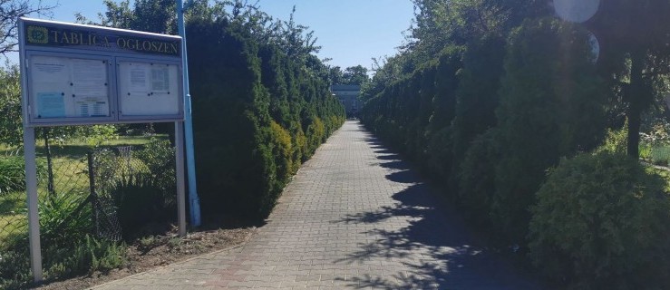 Pleszew. Miasto dołoży działkowcom pieniądze na inwestycje - Zdjęcie główne