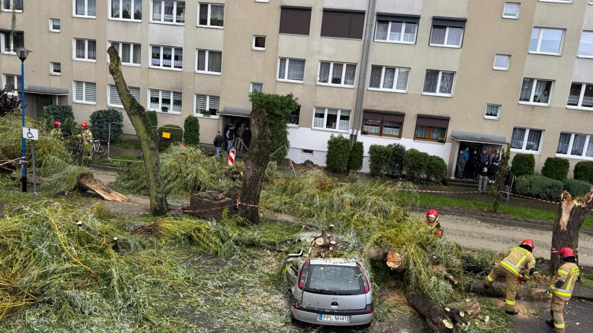 Wichura w powiecie pleszewskim. Wiatr zerwał dach budynku, drzewa przewróciły się na samochody - Zdjęcie główne