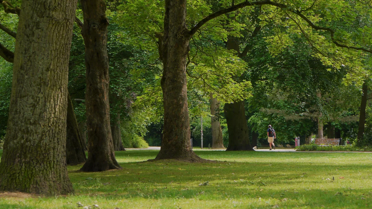 Kleszcze atakują. Liczba zachorowań wzrosła dwukrotnie! Tak źle nie było od lat
