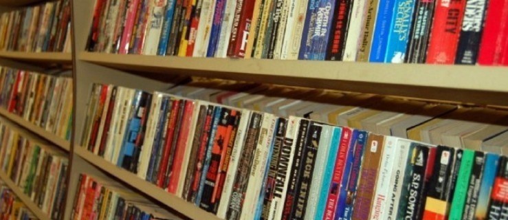 Pleszew. Jak działają nasze biblioteki w czasie pandemii? - Zdjęcie główne