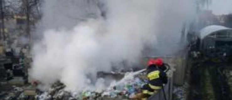 Pożar śmieci na cmentarzu - Zdjęcie główne