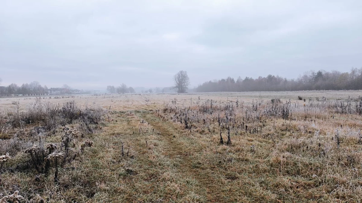 Pogoda w powiecie pleszewskim. Jakie są prognozy na najbliższy tydzień? - Zdjęcie główne