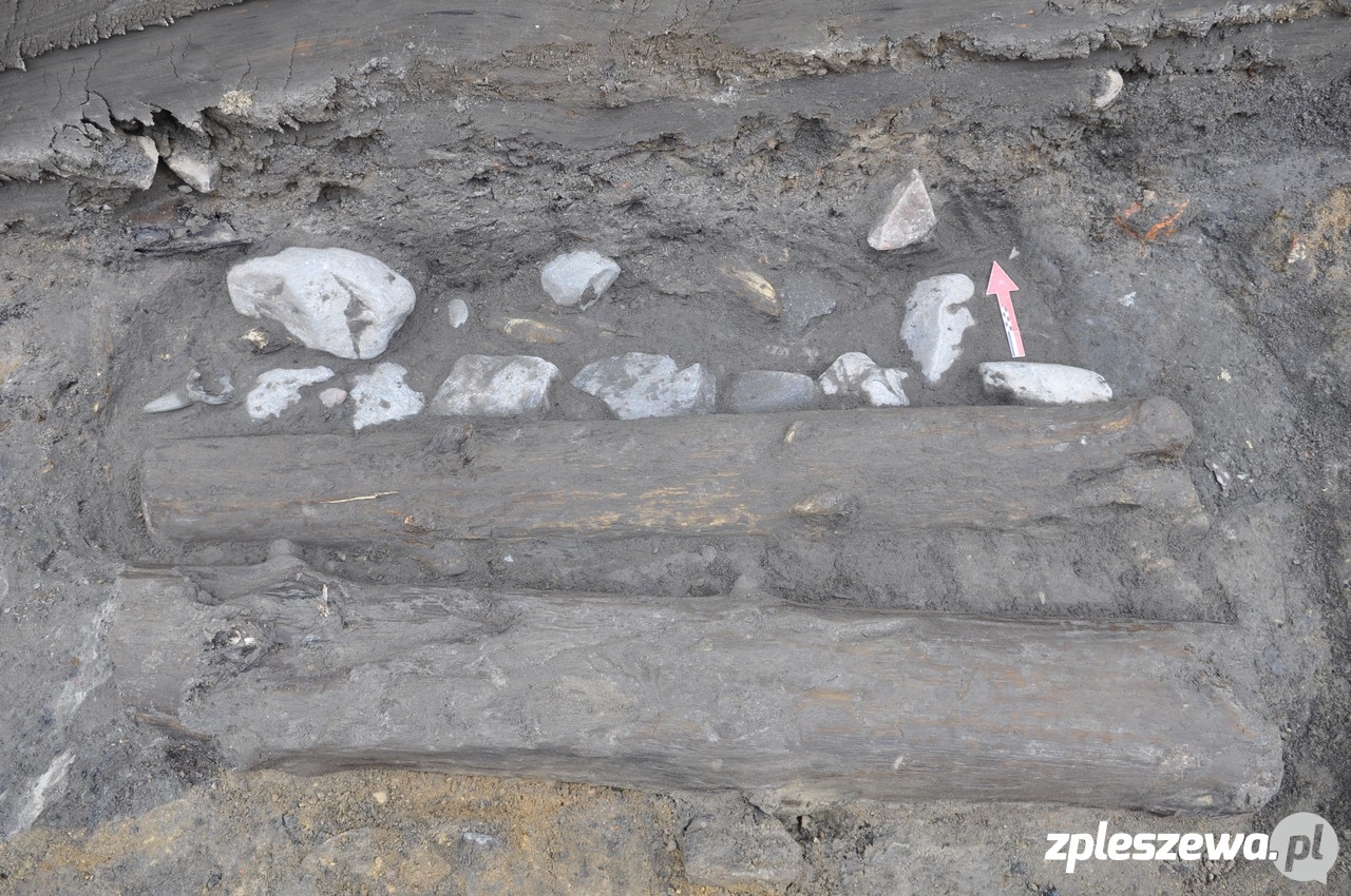 Odkrycia archeologiczne - Zdjęcie główne