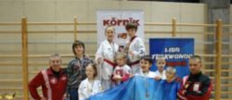 Liga taekwondo - Zdjęcie główne