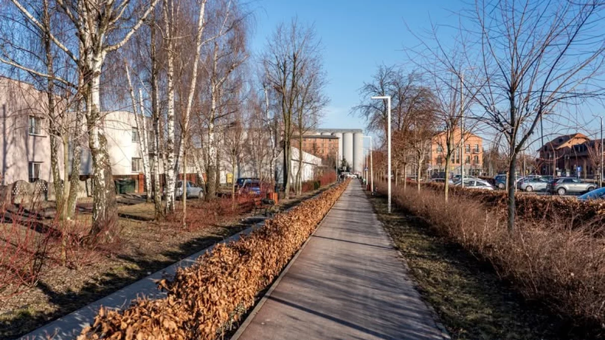 Dzień dobry Pleszew! Dziś niedziela, 8 marca 2026 roku