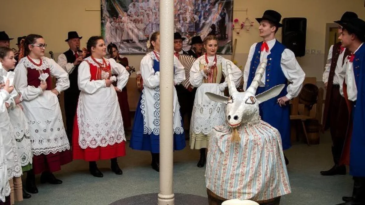 Podkoziołek w Tursku. Tradycja wciąż żywa! - Zdjęcie główne