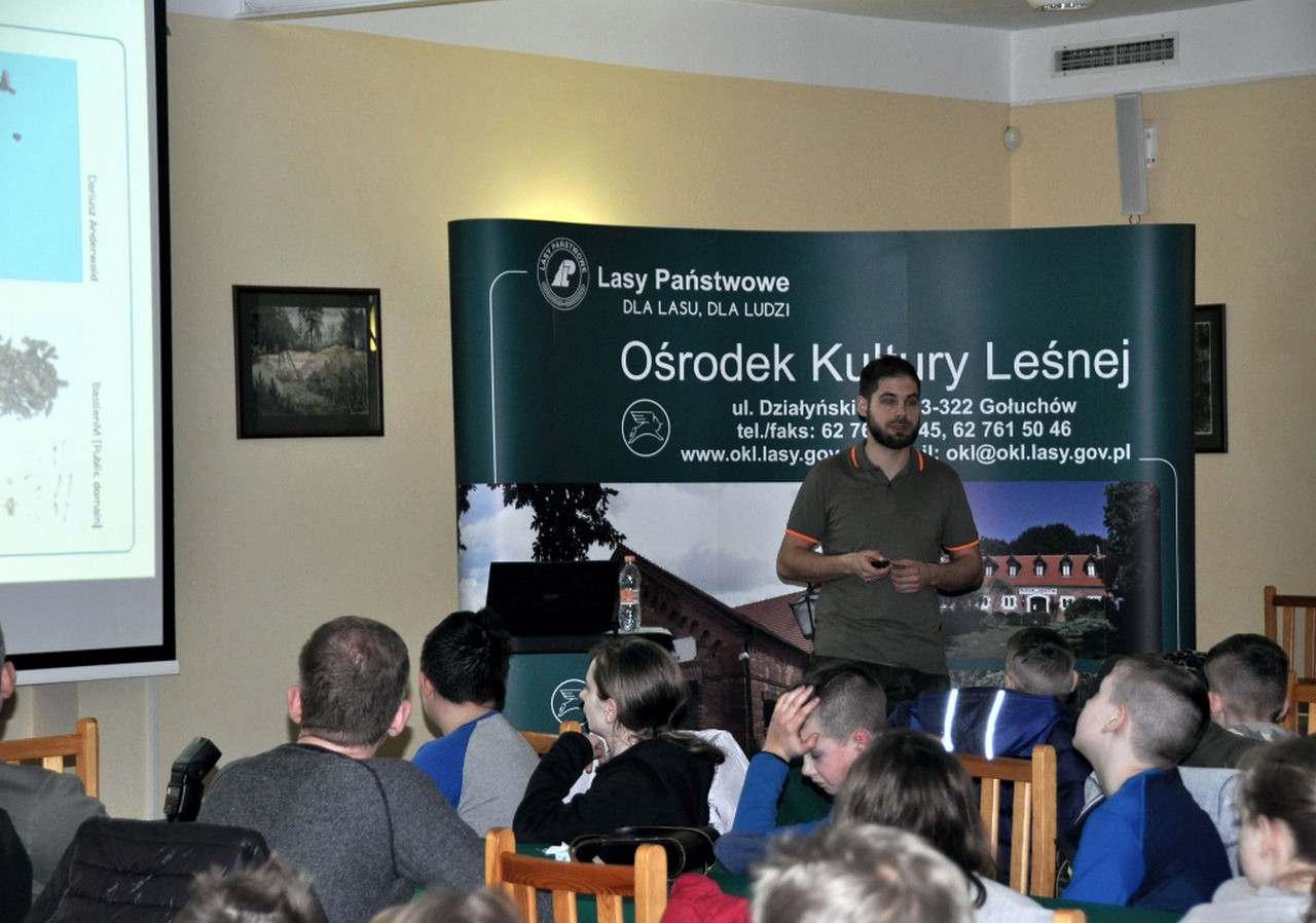 sowi wieczór - Zdjęcie główne