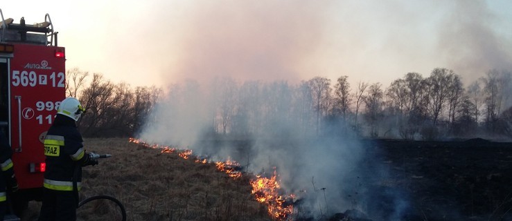 Pożar. 1,5 hektara w ogniu - Zdjęcie główne