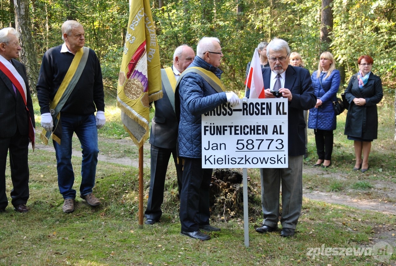 Uroczystości w lesie jedleckim - Zdjęcie główne