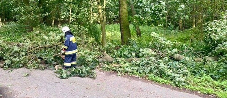 Połamane drzewa i utrudnienia na drogach - Zdjęcie główne