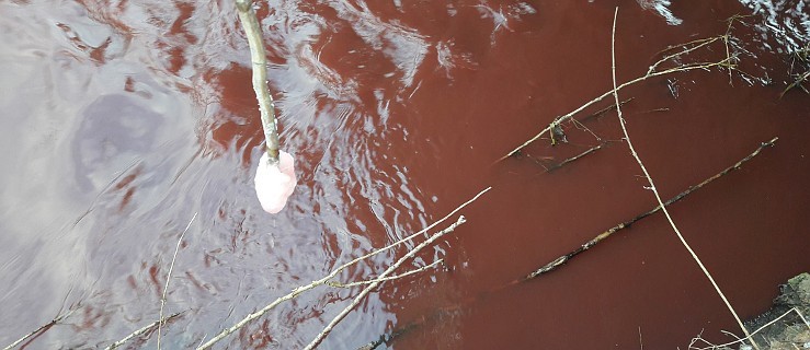 Czerwony Ner w Plantach. Kto zanieczyszcza rzekę? [ZDJĘCIA] - Zdjęcie główne