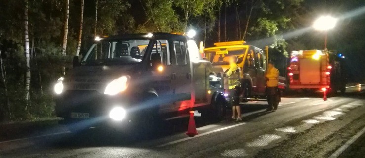 Łania wybiegła wprost pod auto - Zdjęcie główne