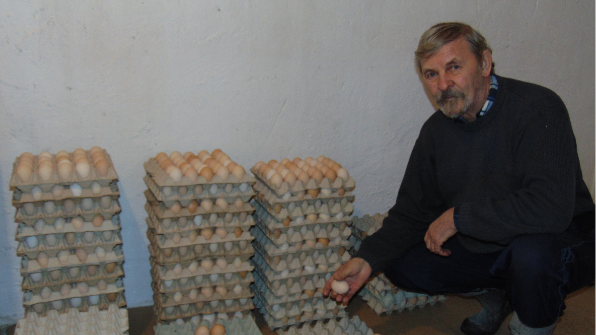 [WR] Kazimierz Hertz zaczynał od pieczarek, dziś słynie z produkcji jaj - Zdjęcie główne
