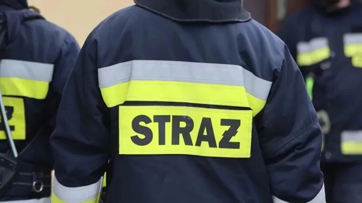 Strażacy pędzili do pożaru butli z gazem. Na miejscu czekała ich niespodzianka
