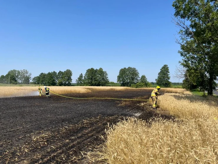 Pracowity dzień strażaków. Wczoraj doszło do trzech pożarów zboża w powiecie pleszewskim - Zdjęcie główne