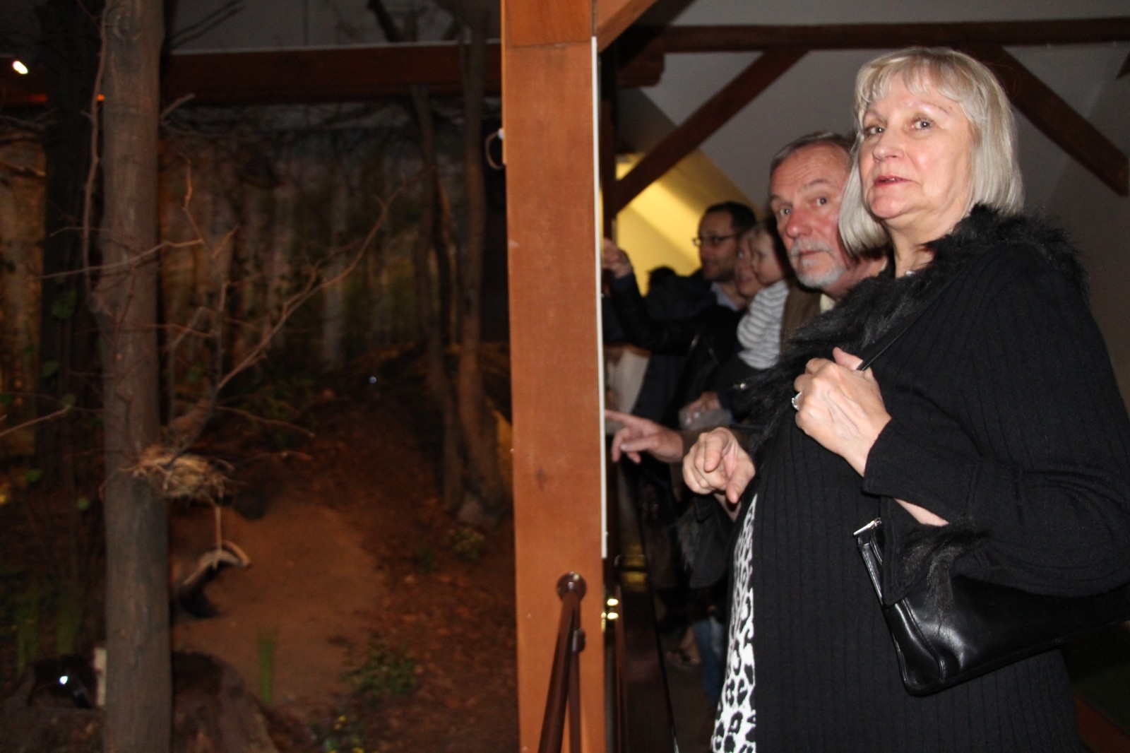 Noc Muzeów w Gołuchowie - Zdjęcie główne