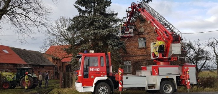 Drzewo przewróciło się na dom. Interweniowali strażacy  - Zdjęcie główne