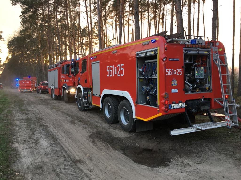 21 kwietnia doszło do pożaru lasu w miejscowości Grab w powiecie pleszewskim