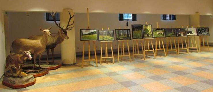 Gorczański Park Narodowy zawitał do Gołuchowa - Zdjęcie główne