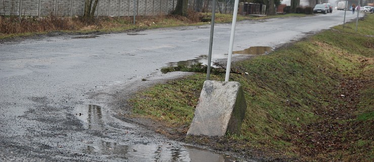 Drzewo do wycięcia, kamień do usunięcia - Zdjęcie główne