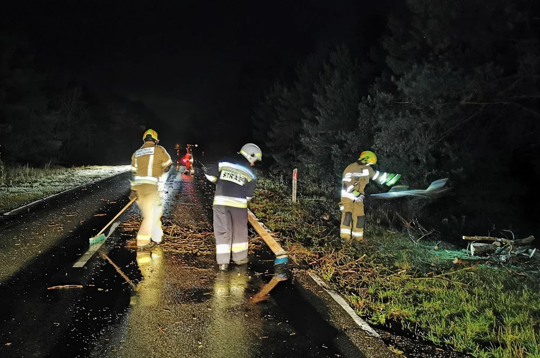 Pracowita noc strażaków. Z powodu wichur doszło do 20 interwencji w powiecie pleszewskim - Zdjęcie główne