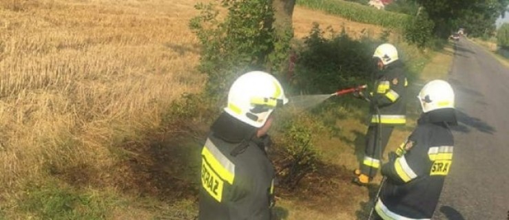 Pożary traw. Strażacy mają pełne ręce roboty - Zdjęcie główne