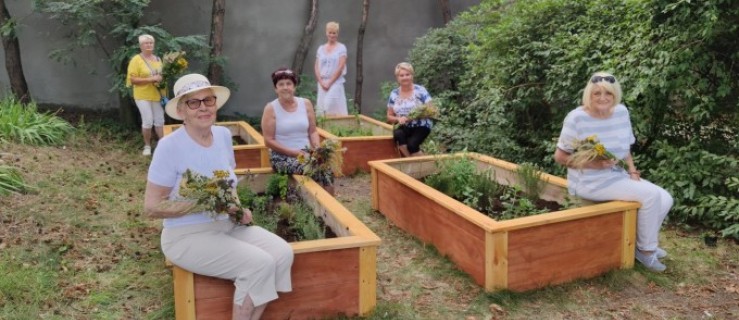 Pleszew. Seniorki stworzyły zagony z ziołami! - Zdjęcie główne