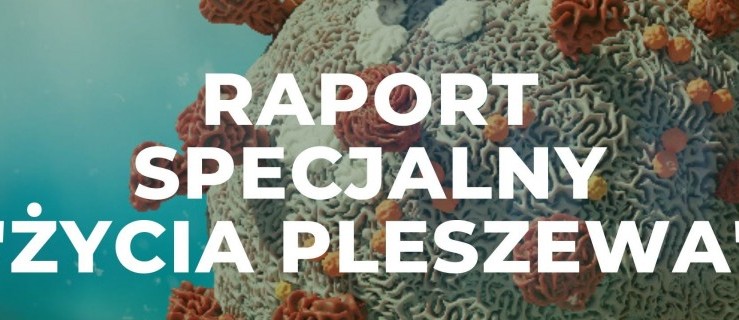 Pleszew. Jak działają zakłady? Czy zabraknie leków? Co z pocztą? [ZOBACZ WIDEO] - Zdjęcie główne