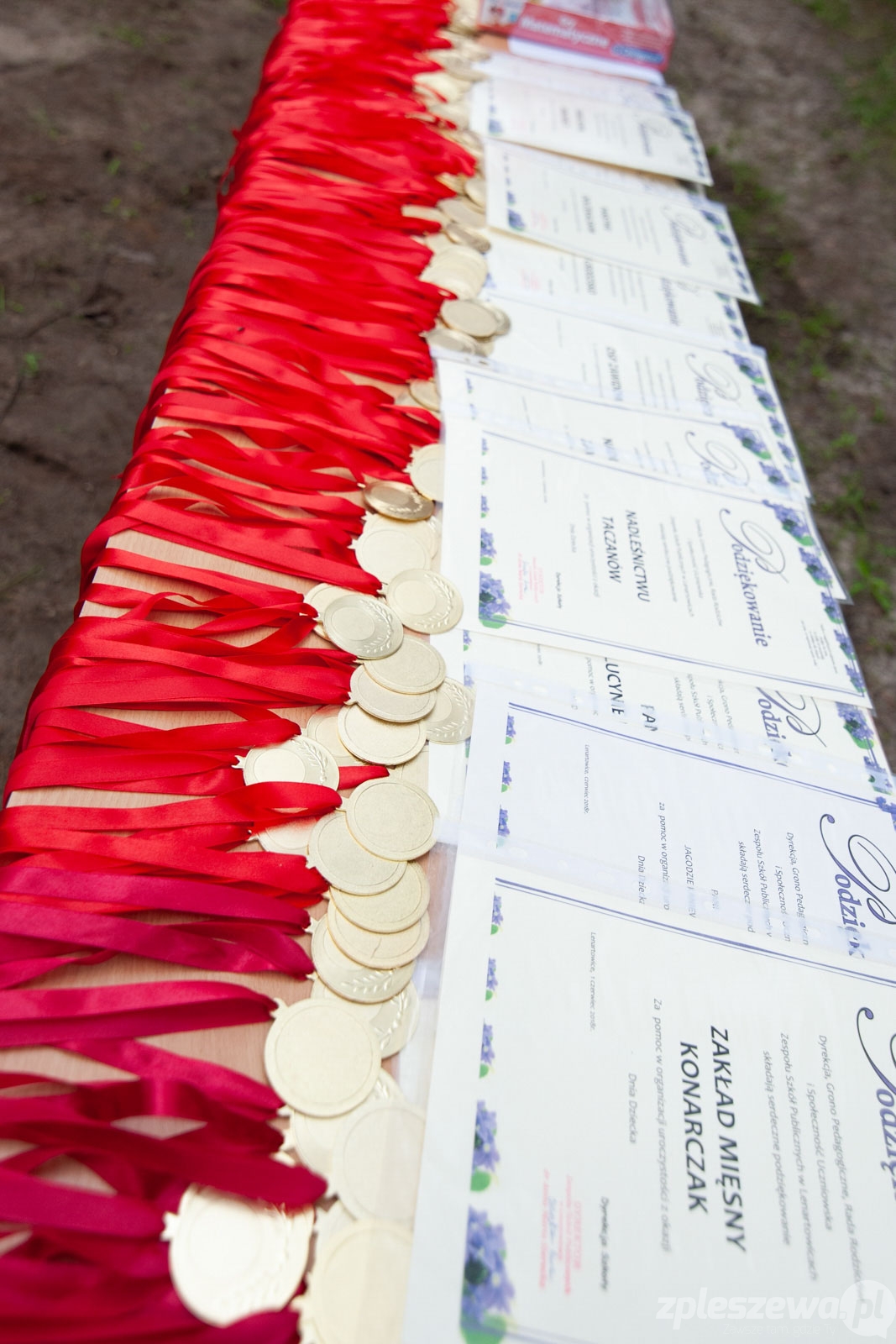 Runmageddon Kids w Lenartowicach - Zdjęcie główne