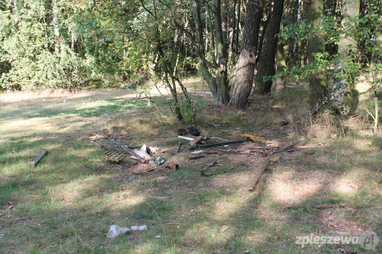 Wędkarze zaśmiecają las  - Zdjęcie główne