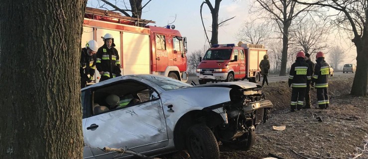 Dachowanie na drodze z Dobrzycy do Fabianowa - Zdjęcie główne