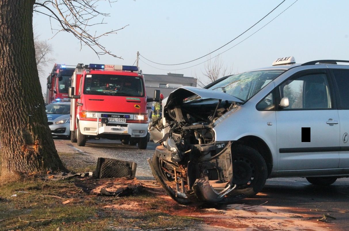 Wypadek w Lenartowicach. Dwie osoby w szpitalu [ZDJĘCIA] - Zdjęcie główne