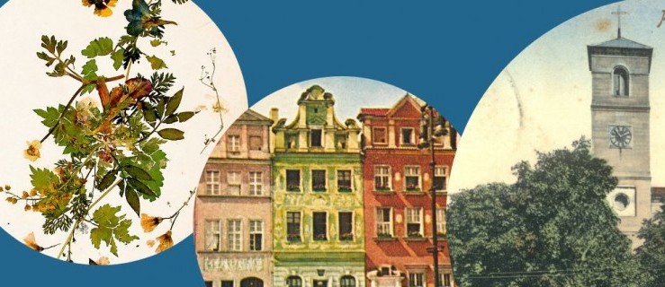 Pleszew. Muzeum zaprasza na wykład o mowie Wielkopolan - Zdjęcie główne