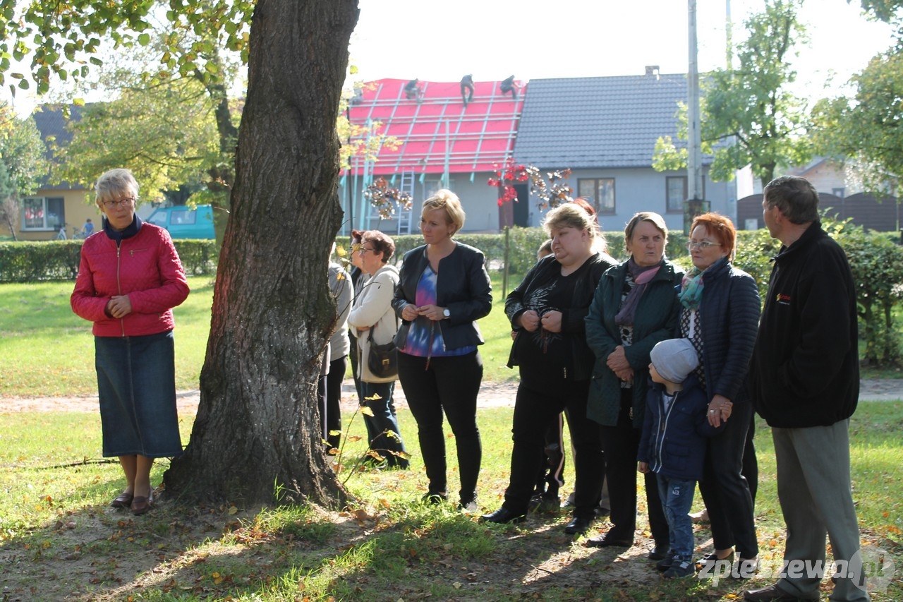 Koronka - Zdjęcie główne