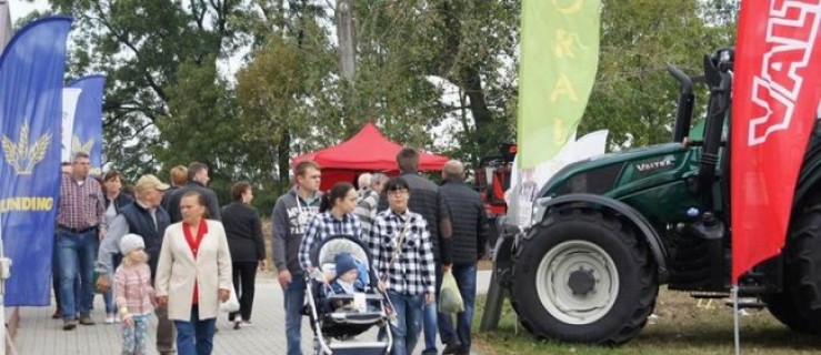 Jesienne targi w Marszewie. To już jutro. Wybieracie się? - Zdjęcie główne