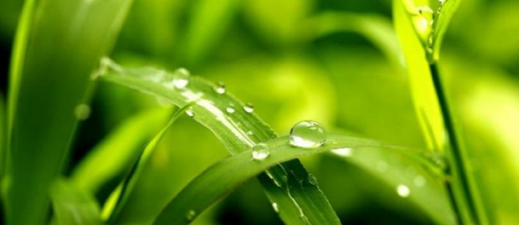 Pleszew. Przyjdź na EKO Dzień Sąsiedzki w CWIO! - Zdjęcie główne