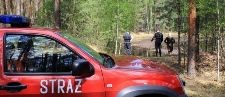 Powiat pleszewski. Zagrożenie w lasach jest realne. Strażacy przeprowadzili inspekcję - Zdjęcie główne