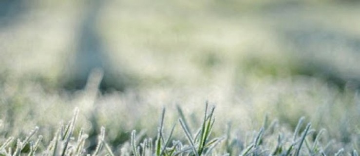 Powiat pleszewski. To będzie chłodne przywitanie wiosny... - Zdjęcie główne