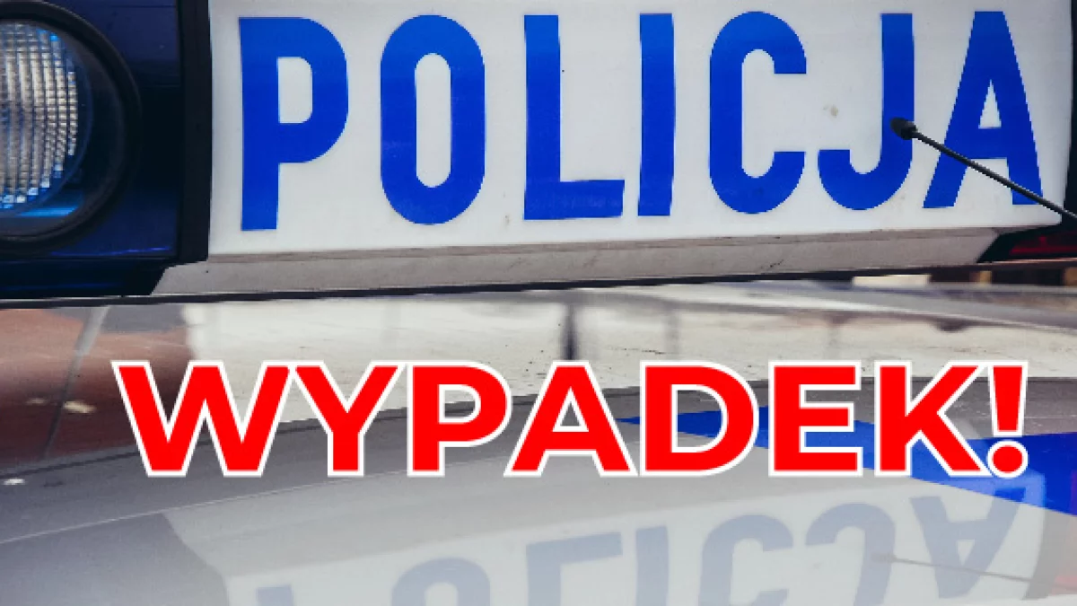 Śmiertelny wypadek w gminie Gołuchów. Samochód osobowy uderzył w drzewo i stanął w płomieniach - Zdjęcie główne