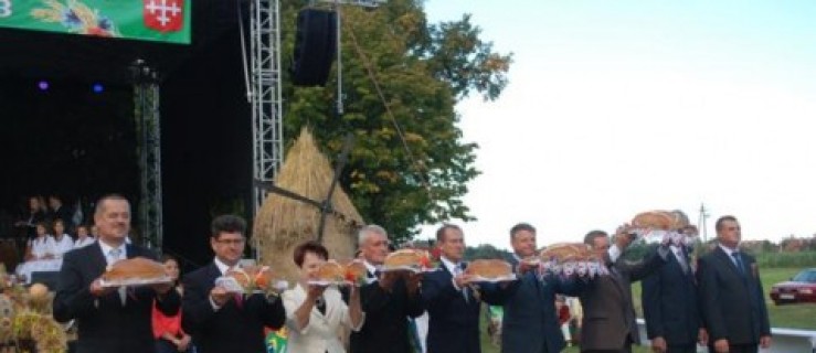 Czermin. 60 tysiecy zł mają kosztować dożynki powiatowe  - Zdjęcie główne