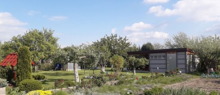 Pleszew. 86 tys. zł trafi do pięciu Rodzinnych Ogrodów Działkowych z naszego terenu [WIDEO] - Zdjęcie główne