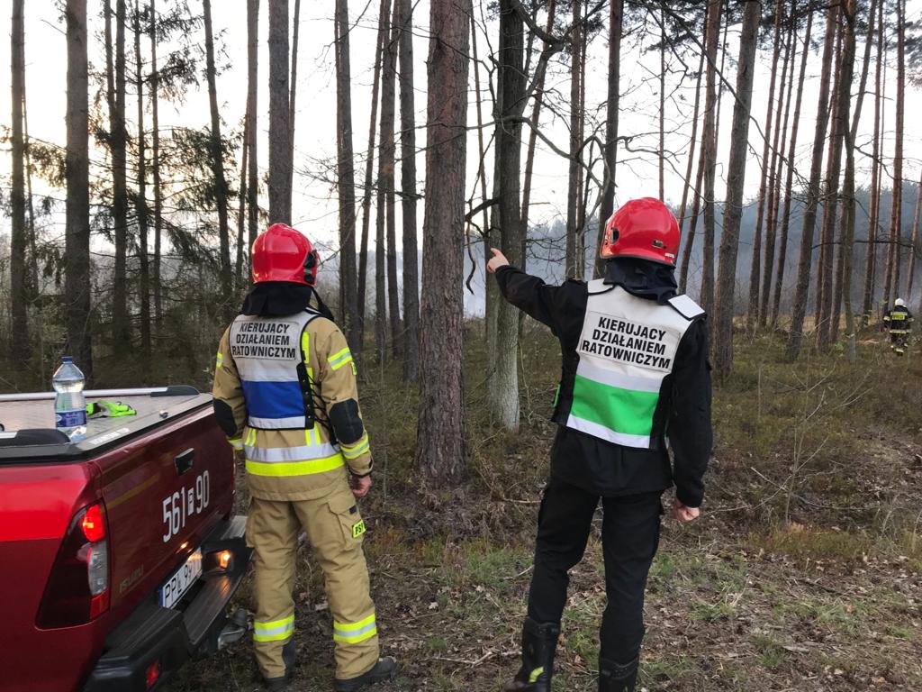 21 kwietnia doszło do pożaru lasu w miejscowości Grab w powiecie pleszewskim